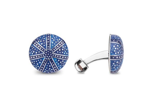 ECHINOIDEA BLU